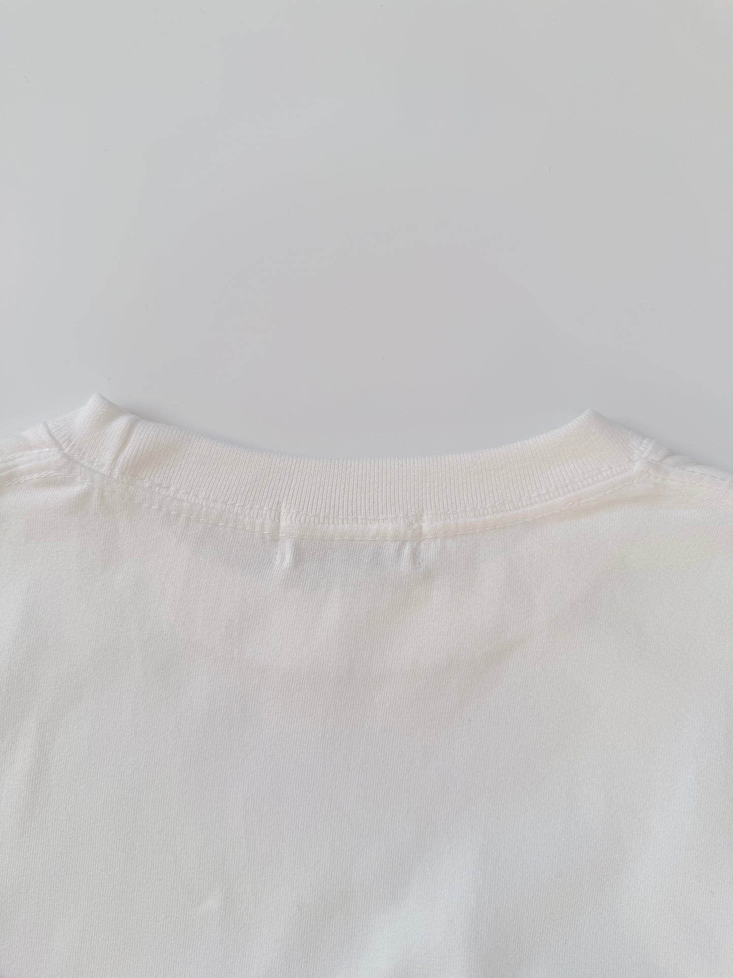 トイプードルのワンポイント刺繡ロングTシャツ (アプリコット)