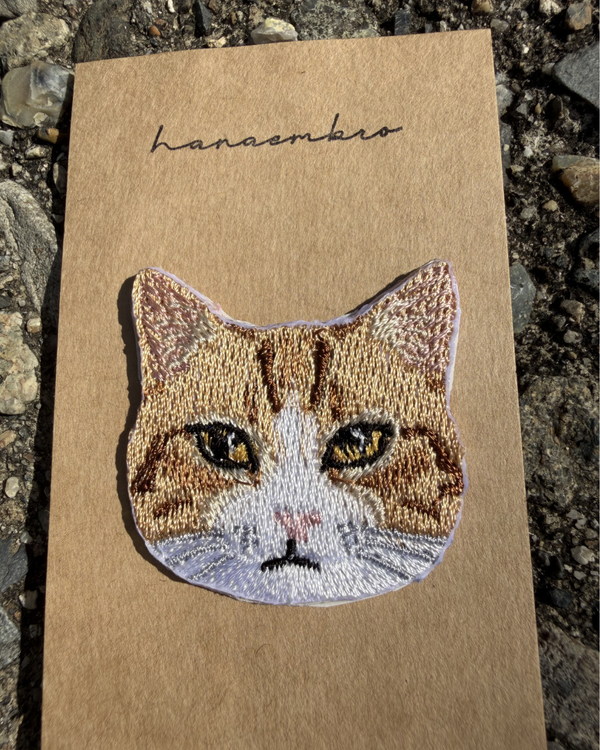 茶トラ猫