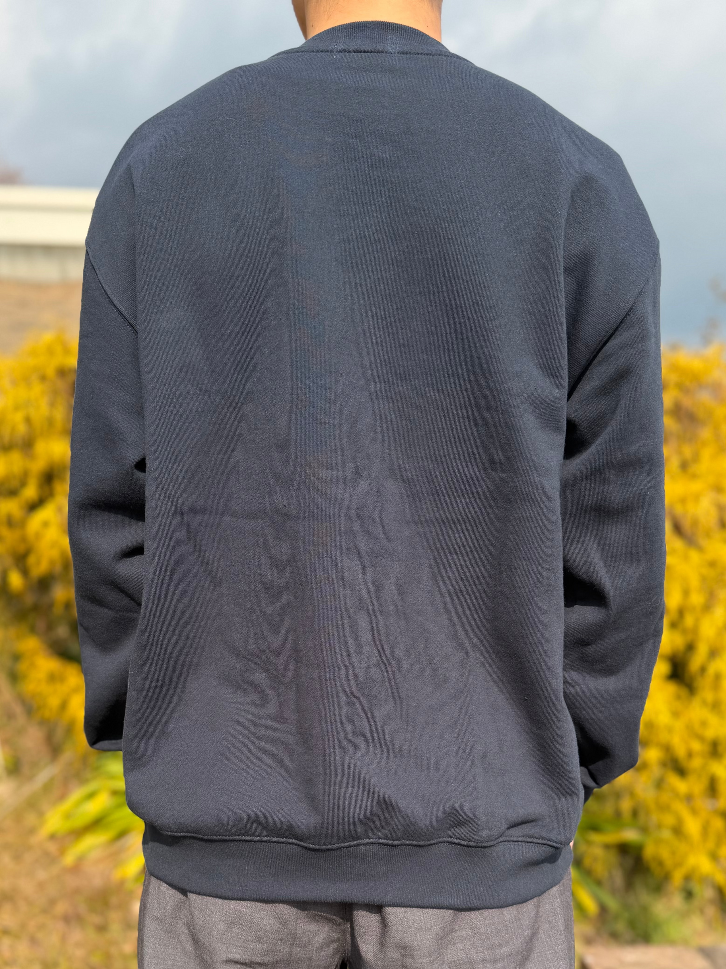 振り向きトイプードルの刺繍スウェット