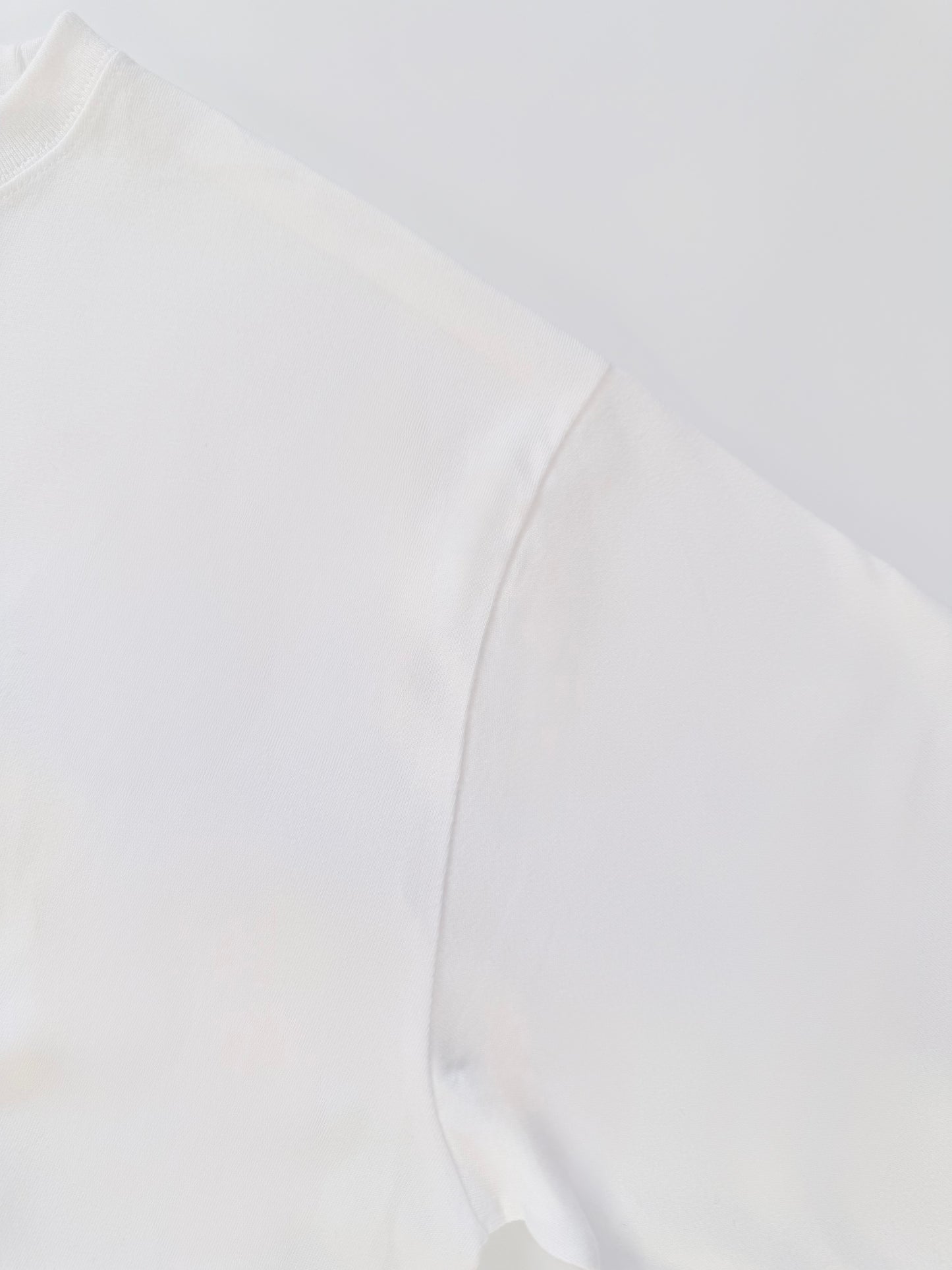 トイプードルのワンポイント刺繡ロングTシャツ (ブラウン)