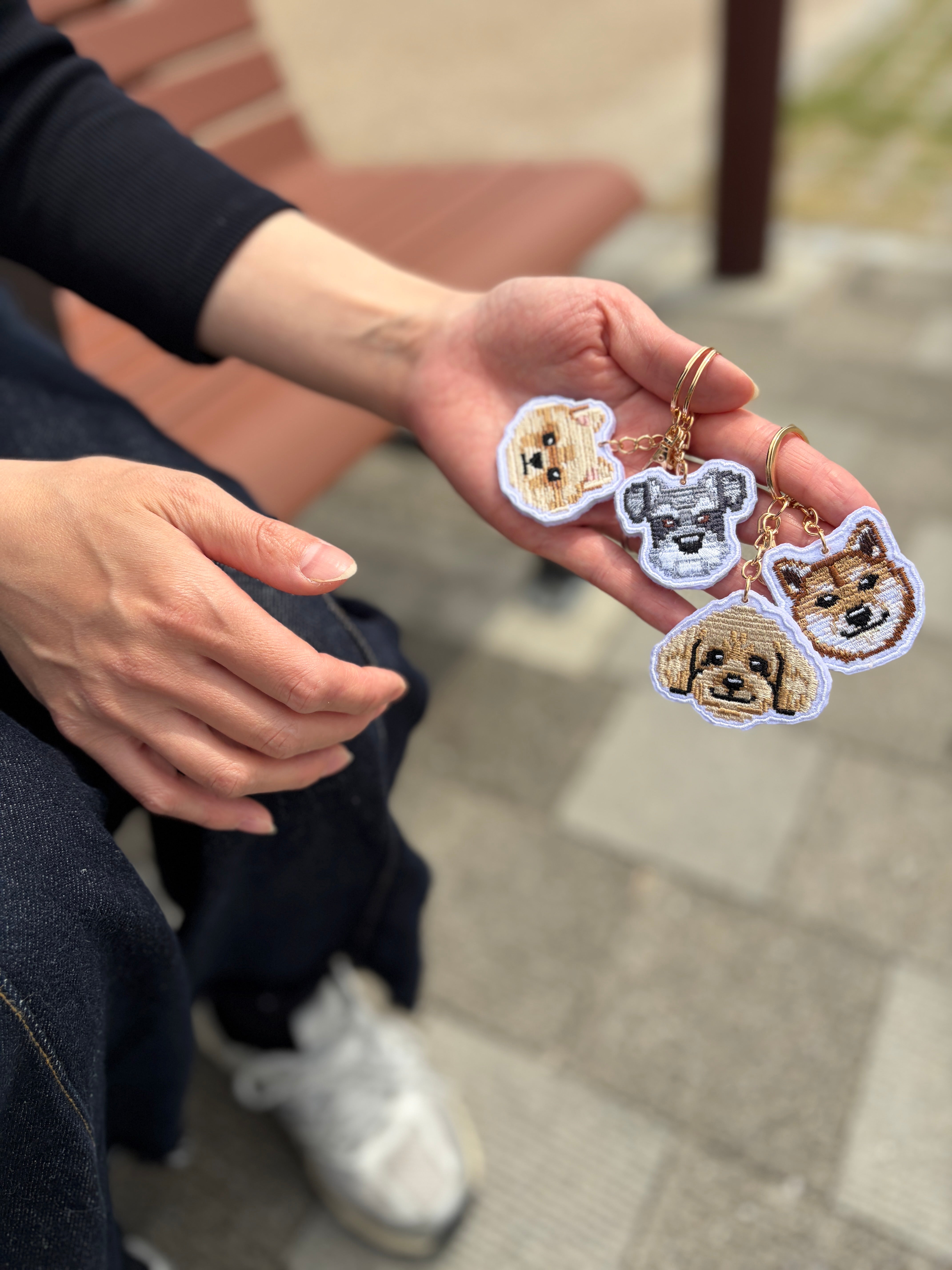 ベンチで4匹そろえて